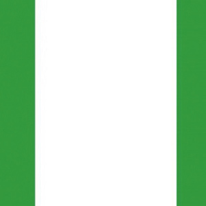 尼日利亚关税